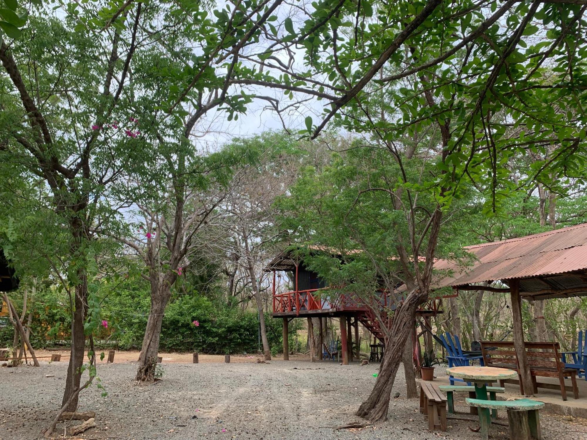 Nieves Surf Hostel And Camping Playa Avellana Kültér fotó